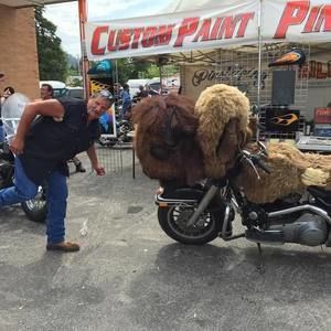 Meet your Posher, David